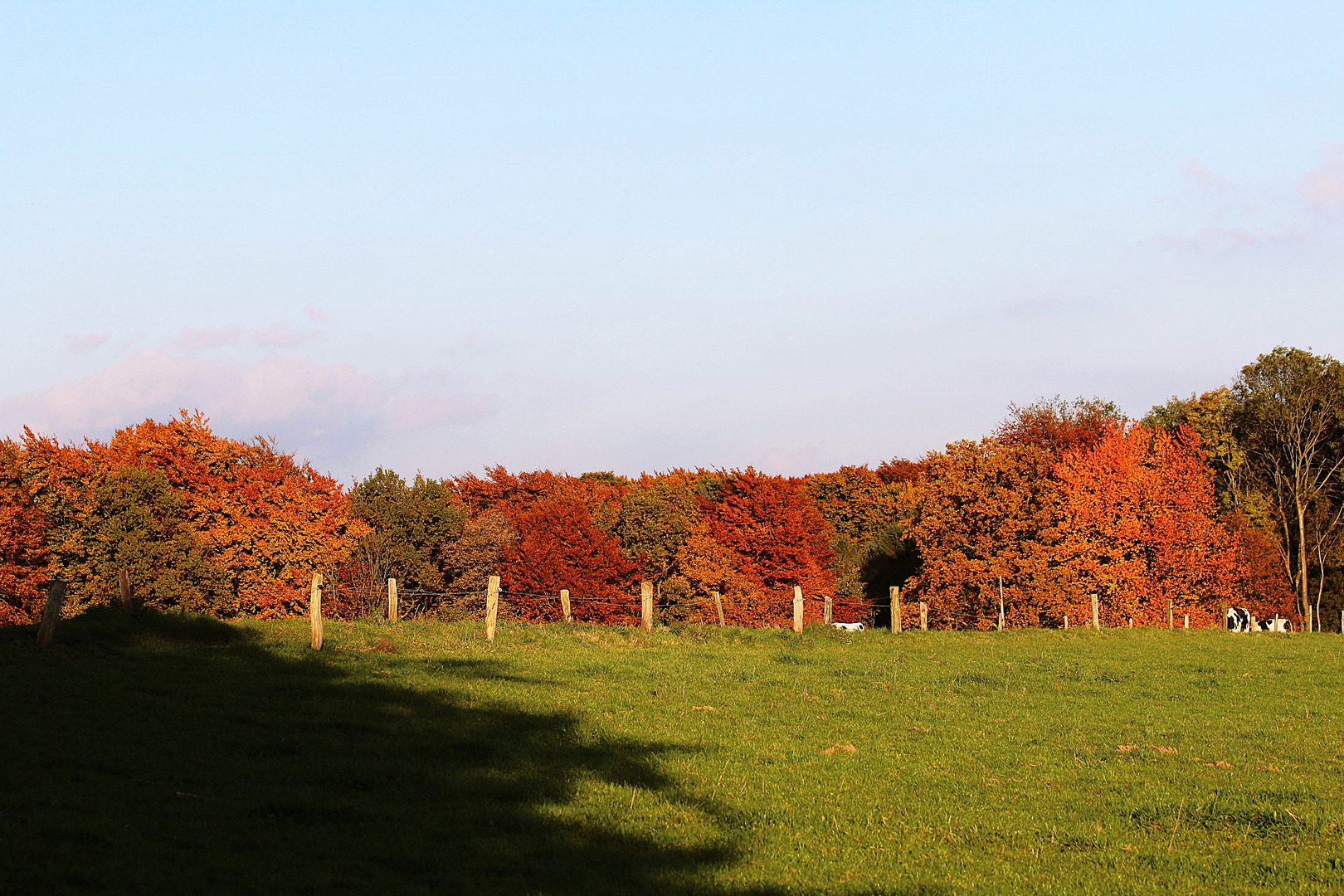 herbstlich bunt