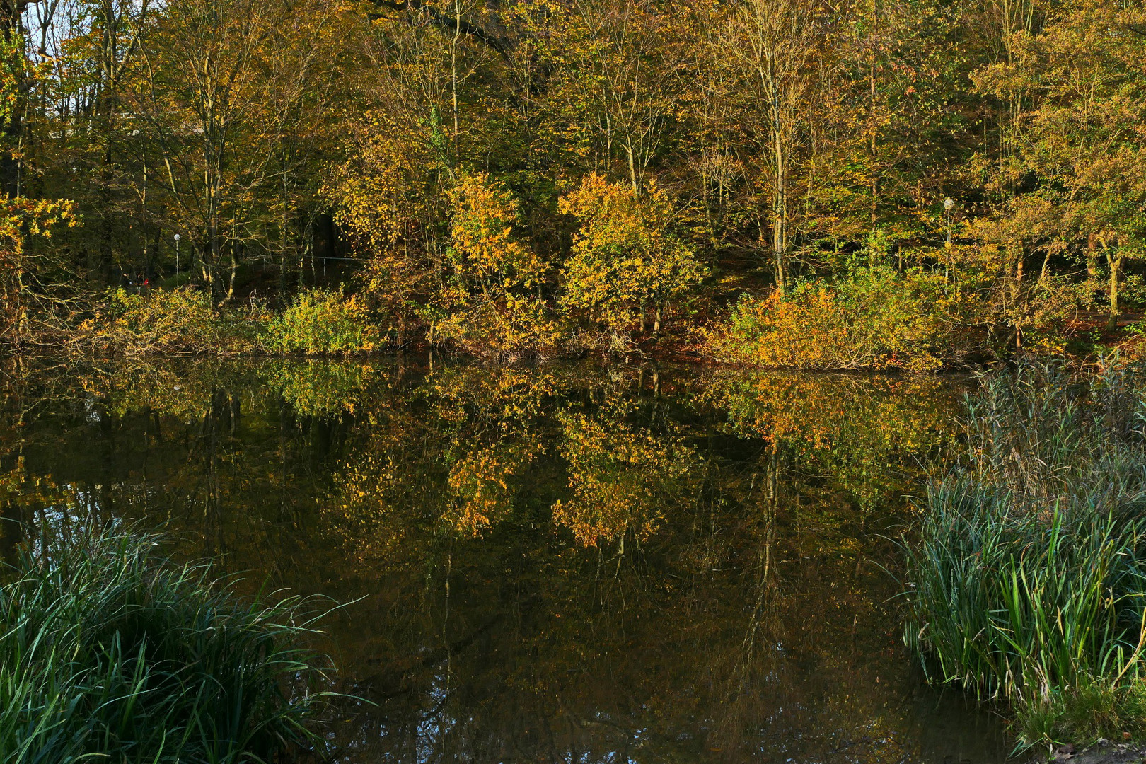 herbstlich bunt