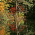 herbstlich bunt (a)