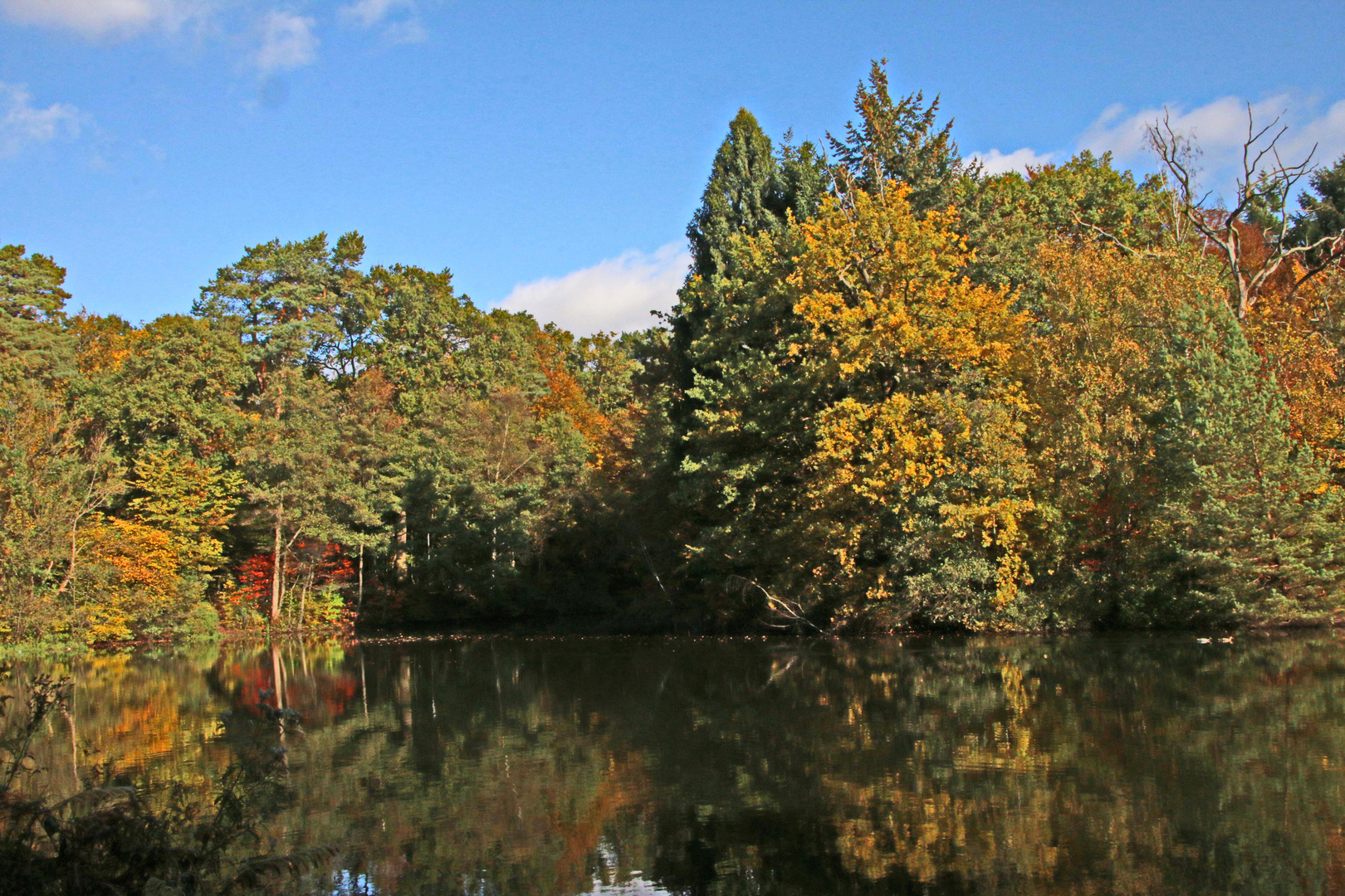 herbstlich bunt (b)