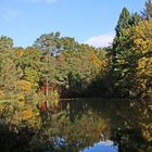 herbstlich bunt (c)