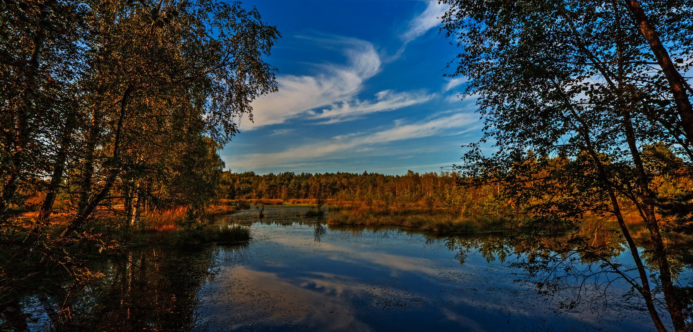 Herbstlich bunt