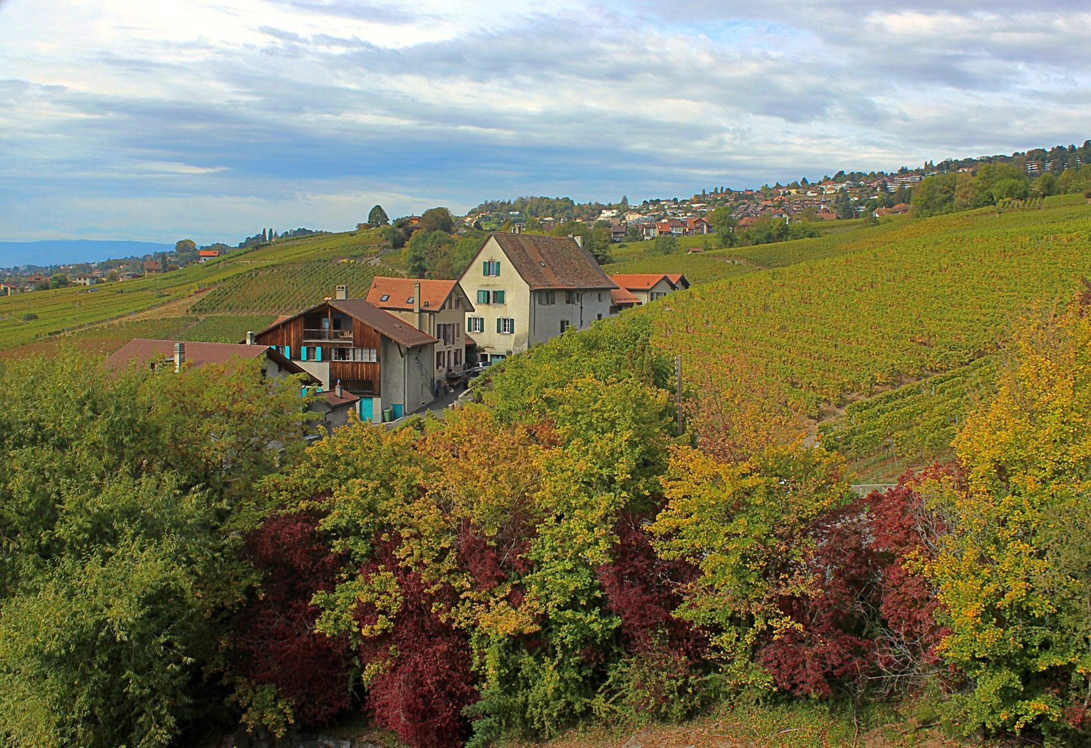 Herbstlich bunt ...