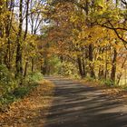 Herbstlich bunt.....