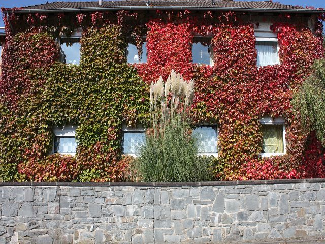 Herbstlich Bunt in Bergneustadt