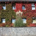 Herbstlich Bunt in Bergneustadt