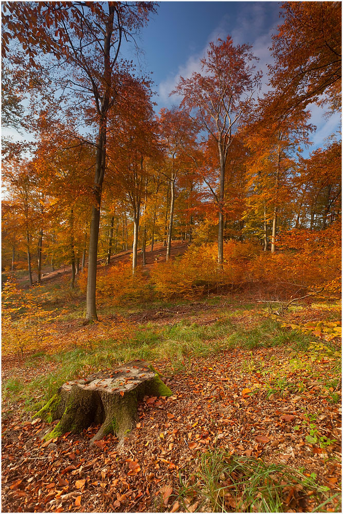 Herbstlich bunt - reload