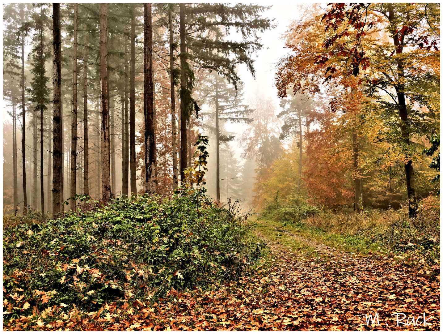 Herbstlich bunt sind die Wälder ,