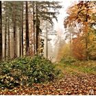 Herbstlich bunt sind die Wälder ,