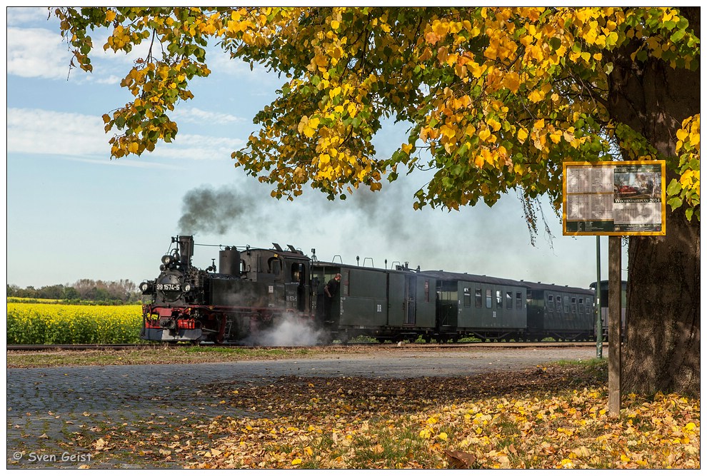 Herbstlich bunte Blätter in Naundorf