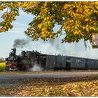 Herbstlich bunte Blätter in Naundorf