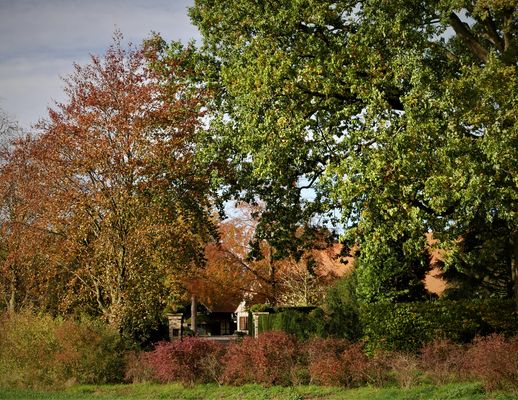 Herbstlich Buntes - Impression im ländlich geprägten Münster 