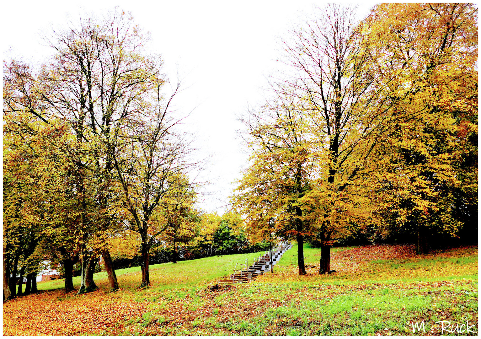 Herbstlich buntes mit Hochnebel 