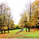 Herbstlich buntes mit Hochnebel 