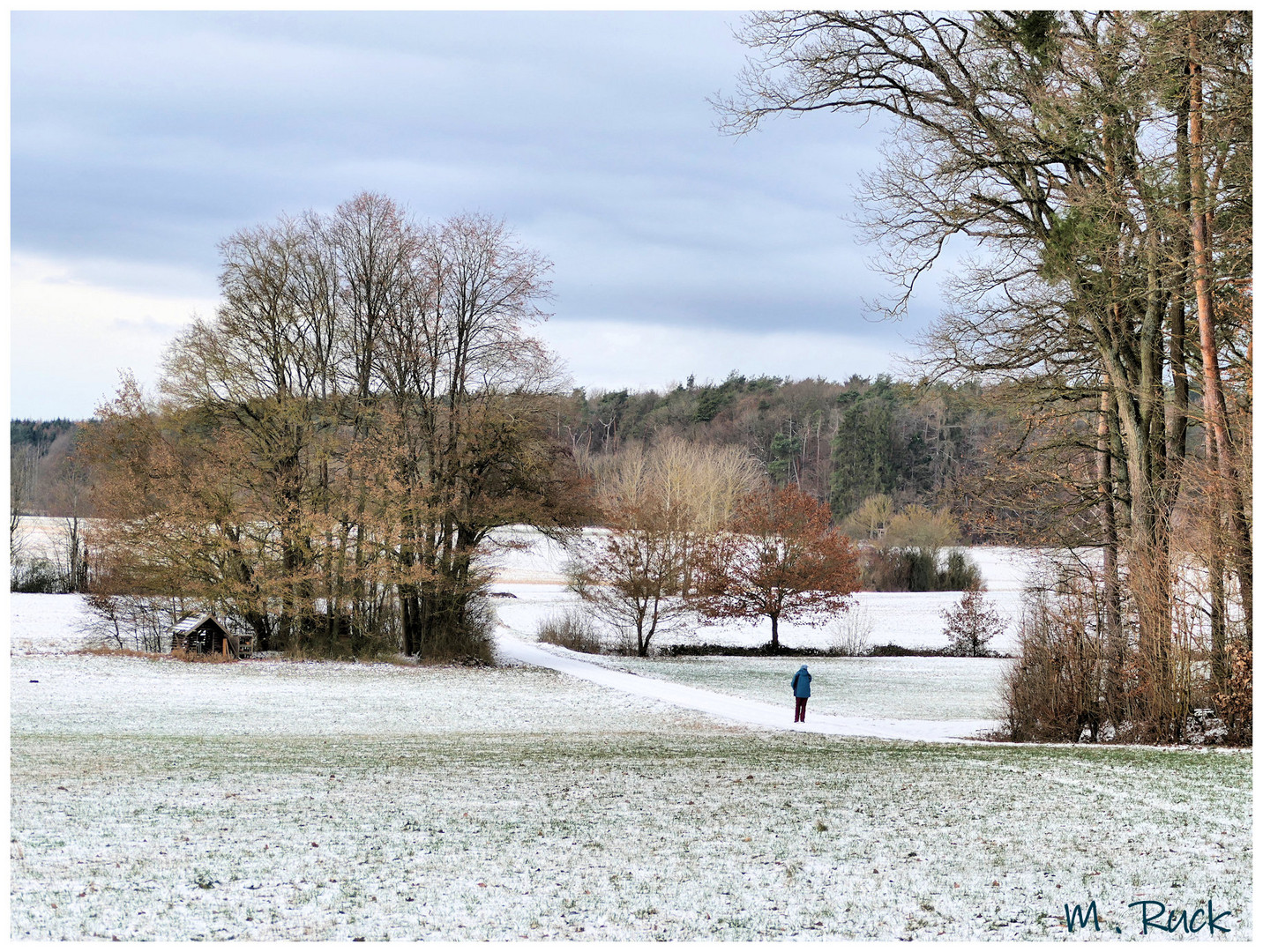 Herbstlich buntes und winterlich weißes und kaltes 