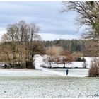 Herbstlich buntes und winterlich weißes und kaltes 