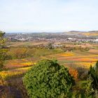 Herbstlich buntes, weites Land