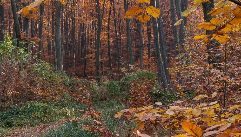 herbstlich