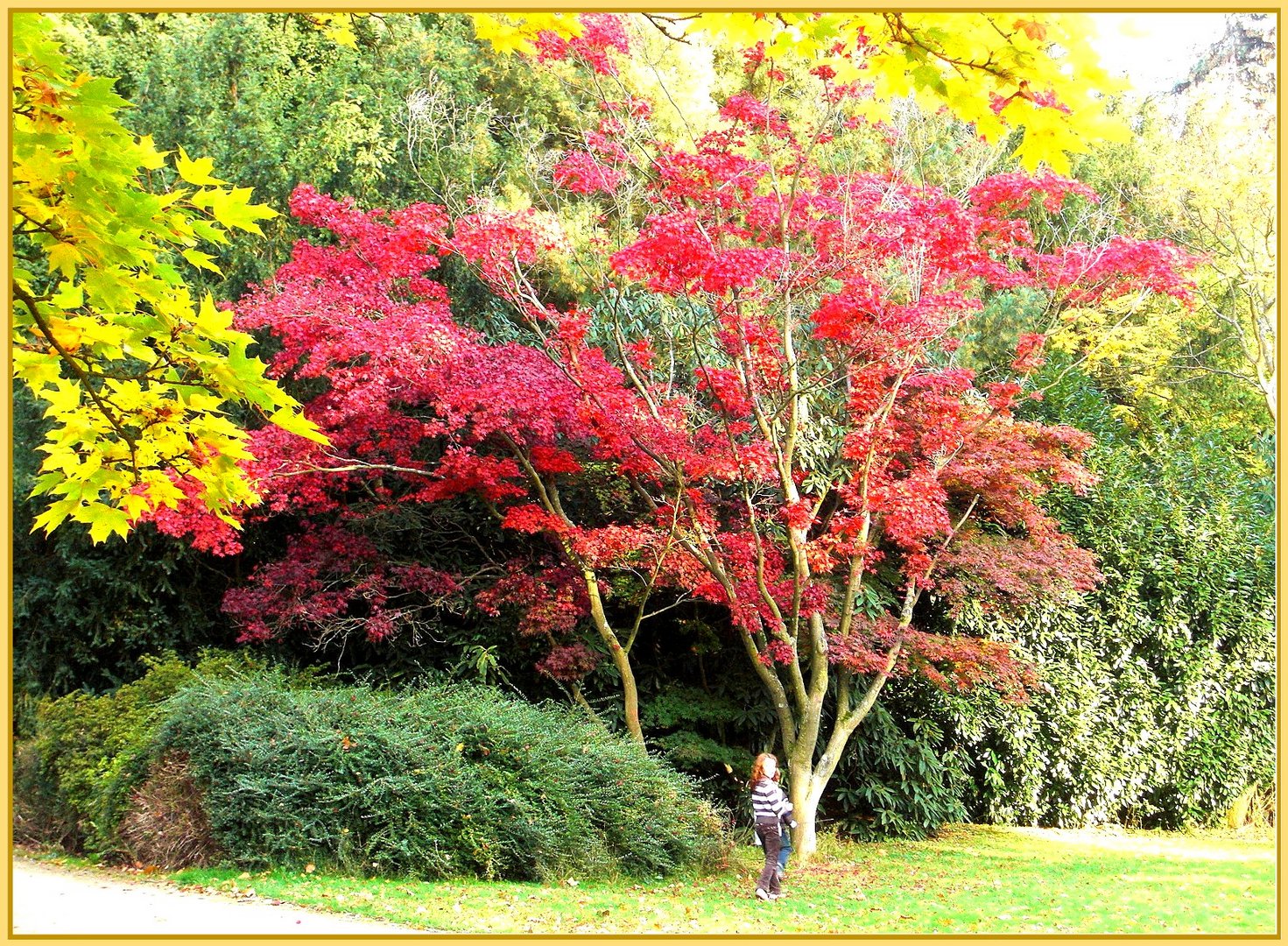 Herbstlich