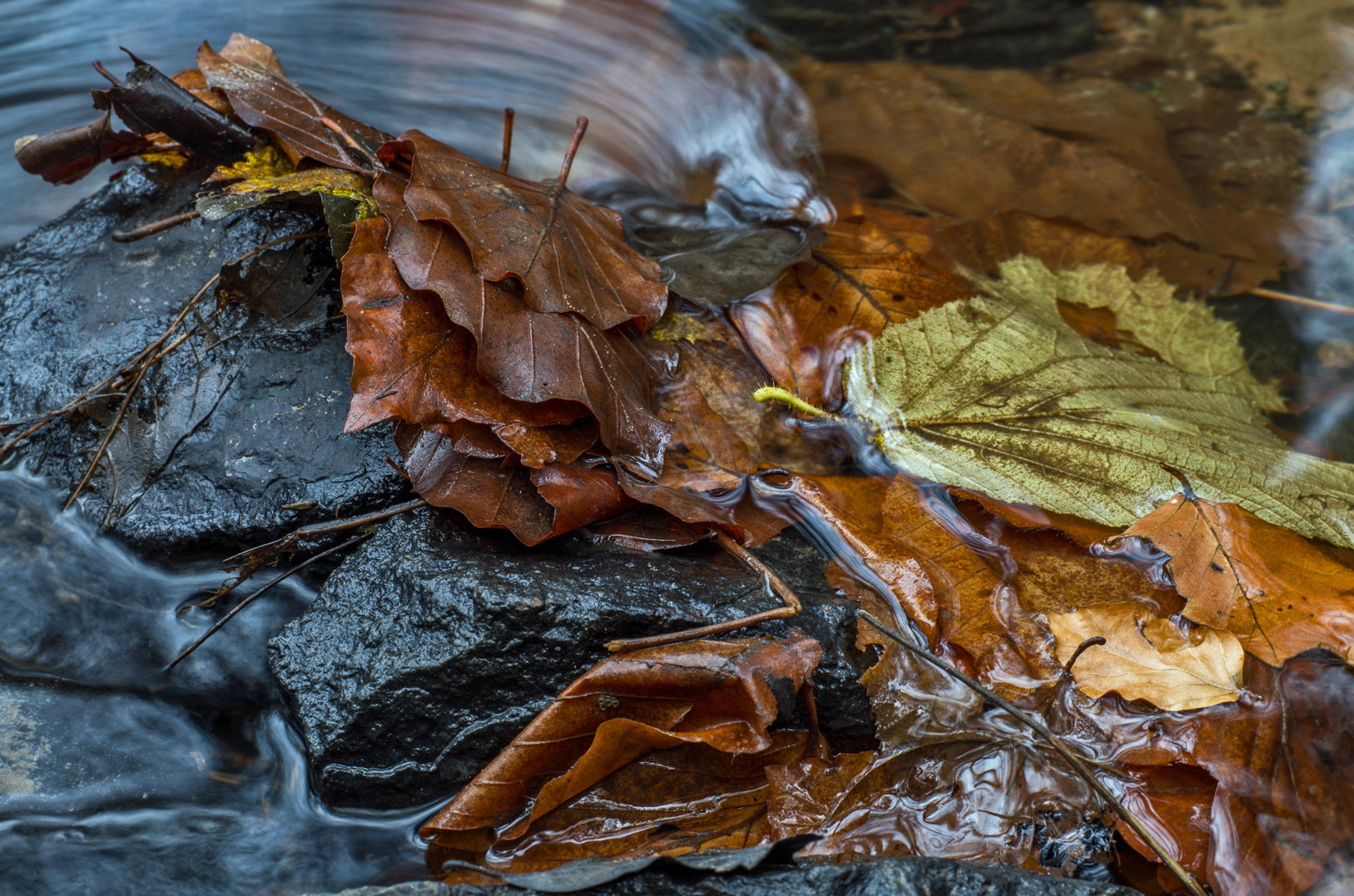 Herbstlich