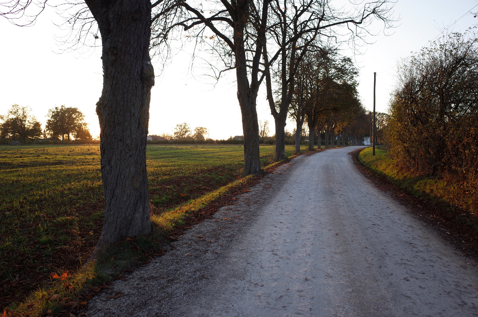 Herbstlich.