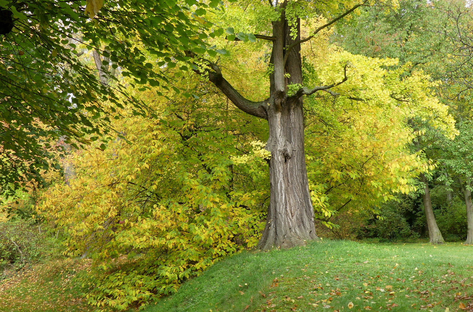 Herbstlich