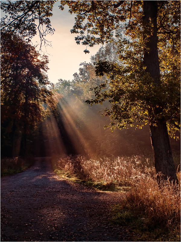 Herbstlich