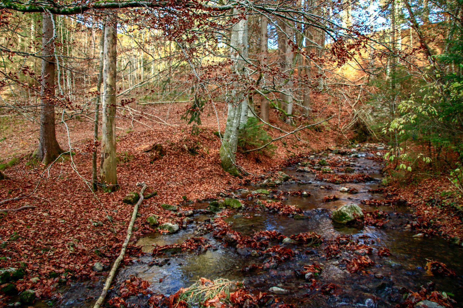 Herbstlich