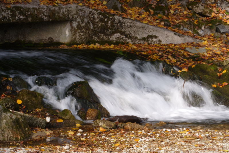 Herbstlich