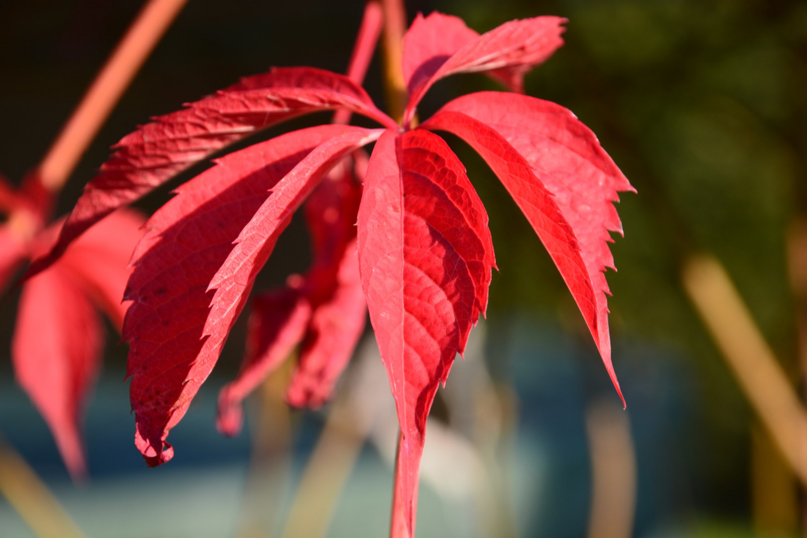 Herbstlich