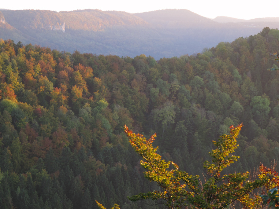 herbstlich