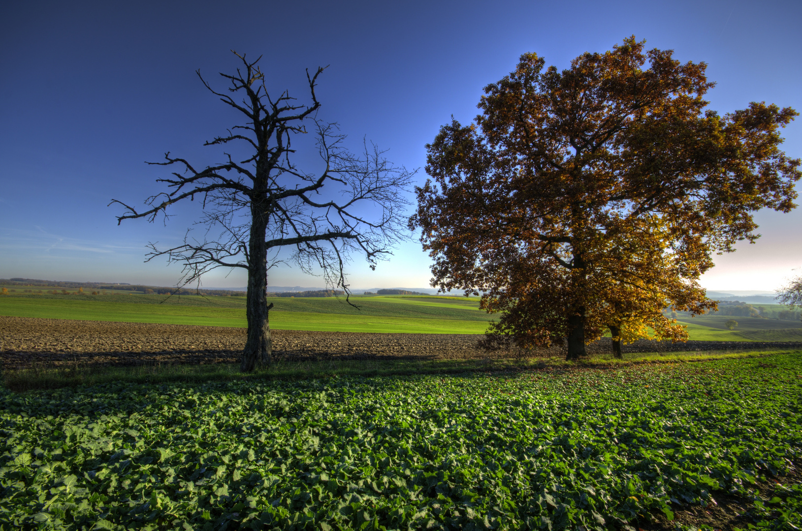 herbstlich...