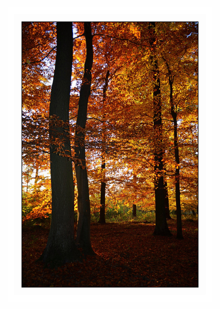 herbstlich