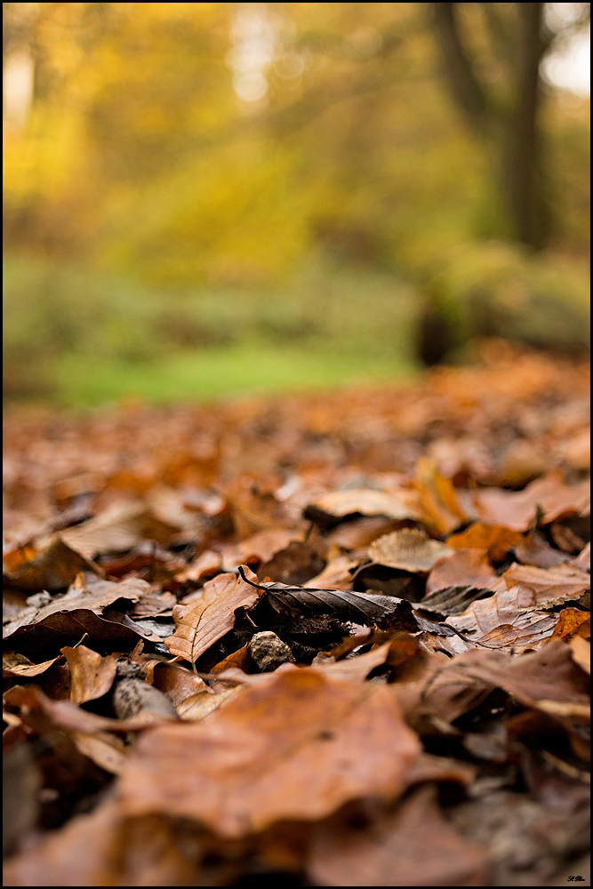 Herbstlich