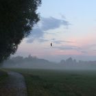 Herbstlich- das Blatt am seidendem Faden