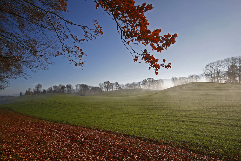 ... herbstlich ...