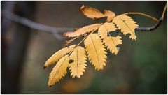 herbstlich