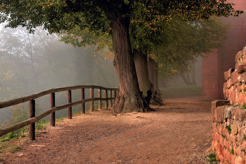 Herbstlich