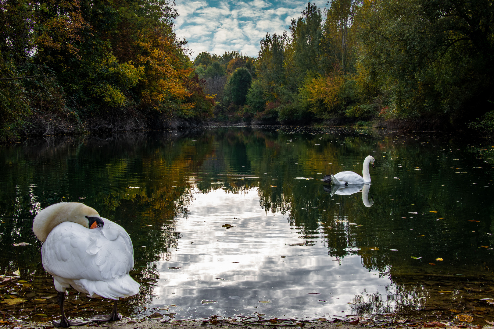 Herbstlich