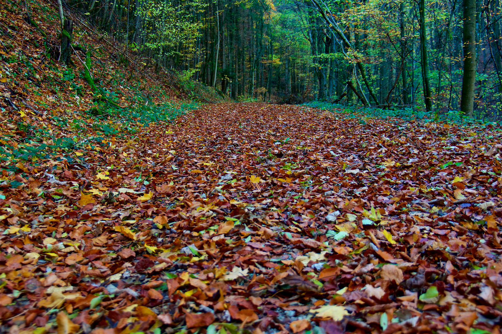 Herbstlich