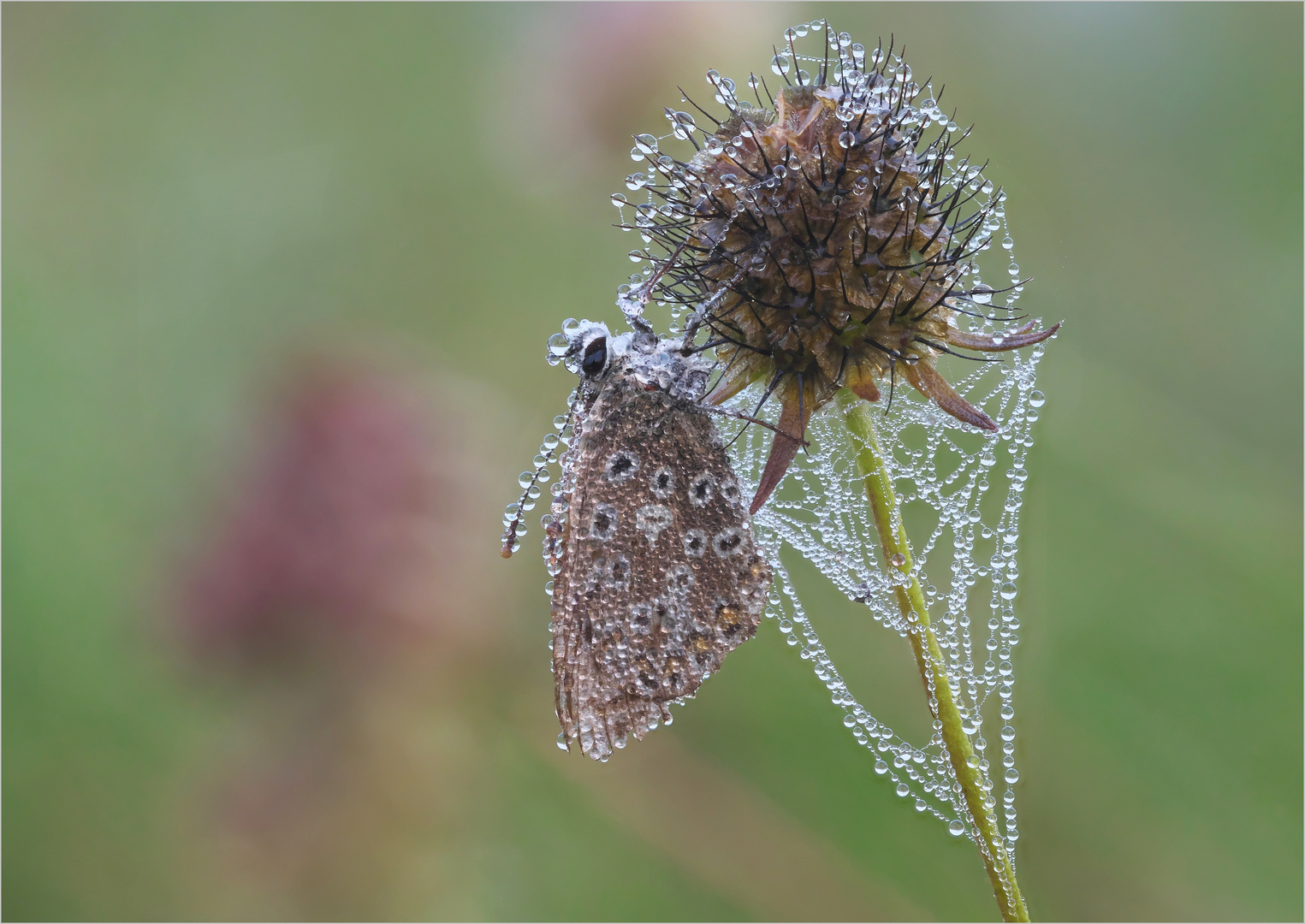 Herbstlich Dekoriert