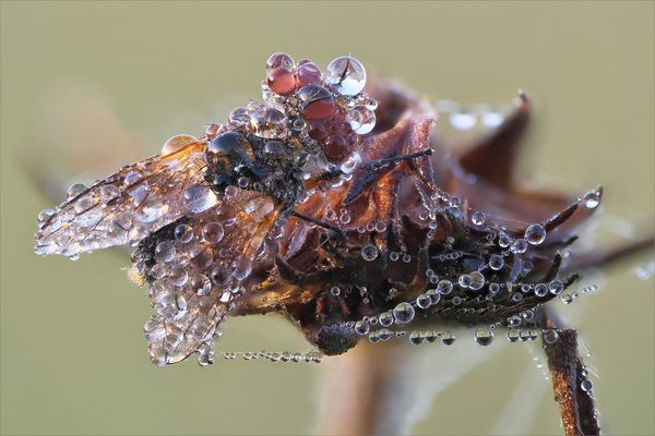 Herbstlich Dekoriert