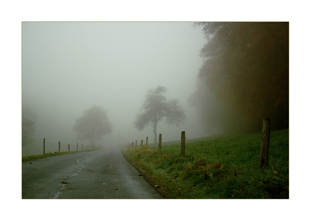 herbstlich - die erste