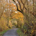 herbstlich durchgeblickt