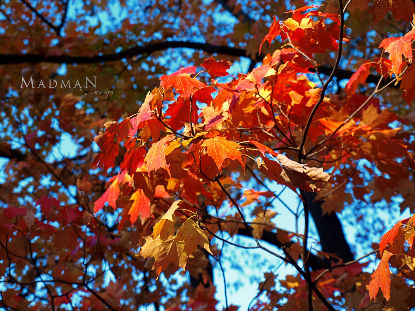 Herbstlich