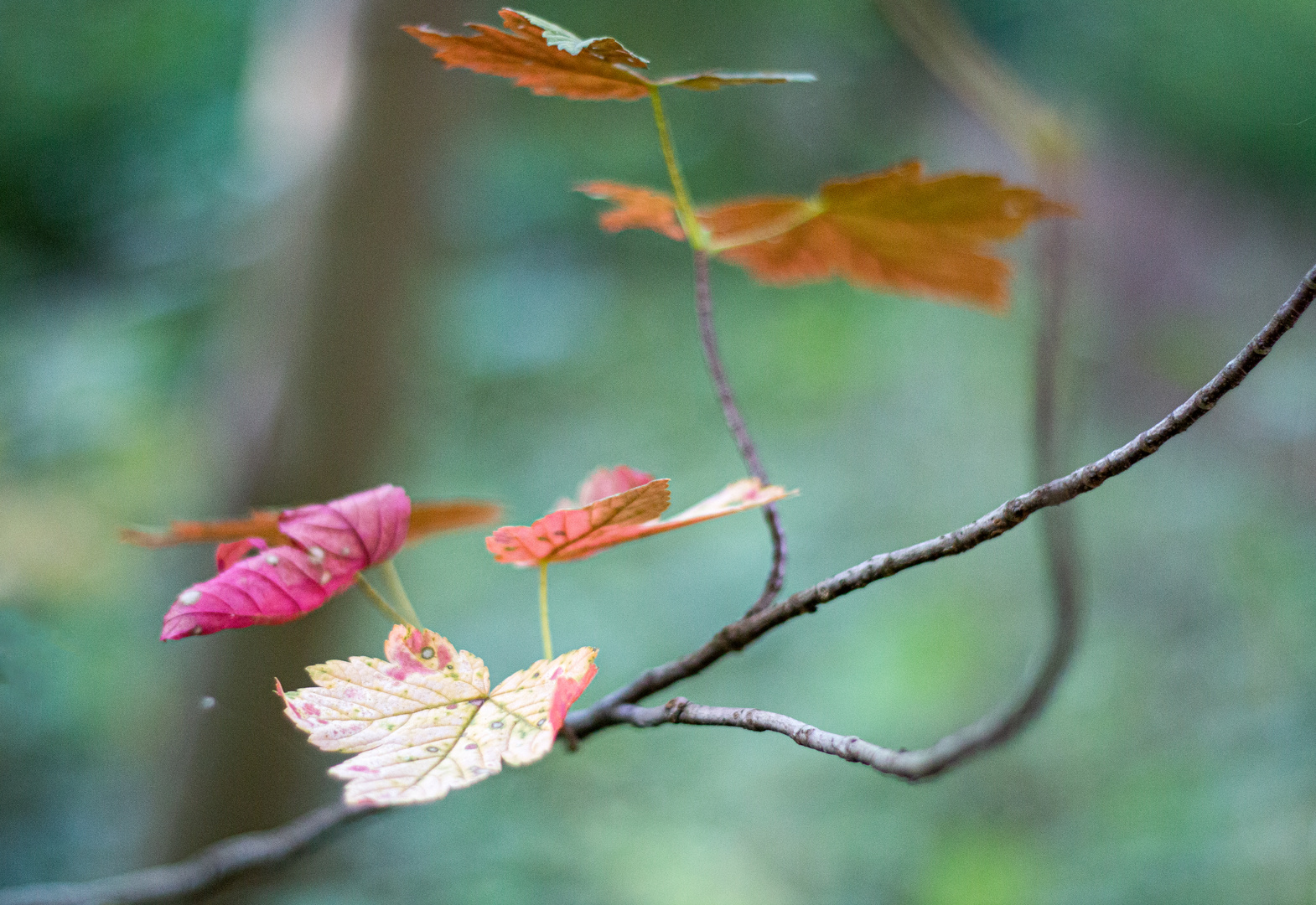 herbstlich