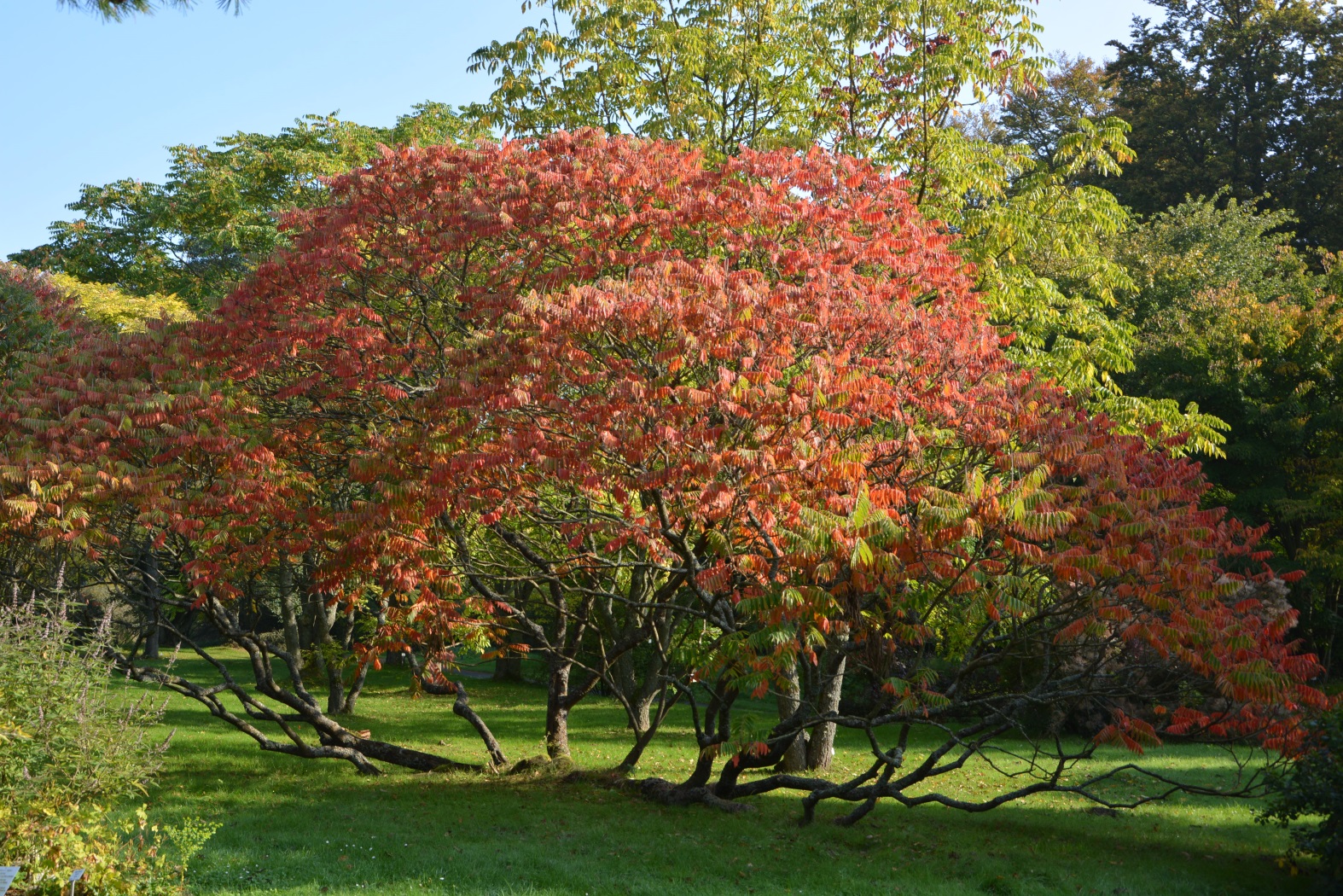 Herbstlich