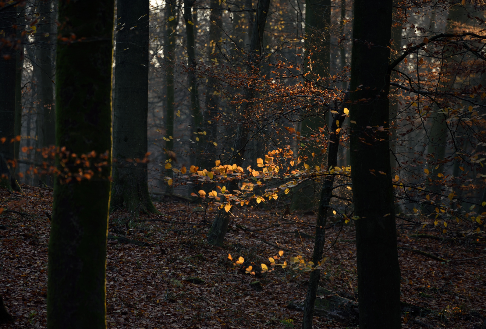 herbstlich