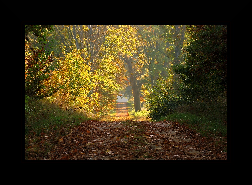 Herbstlich