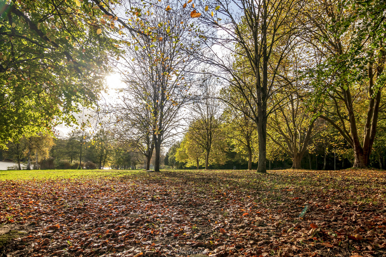 Herbstlich..